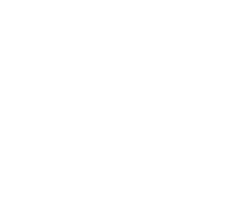 ASL Boxe La Ricamarie